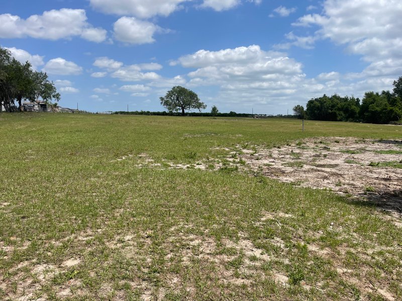 Unpaved Lot in Haines City, Florida 0