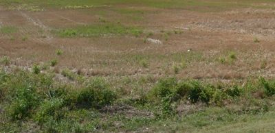 35 x 10 Unpaved Lot in Tunica, Mississippi near [object Object]