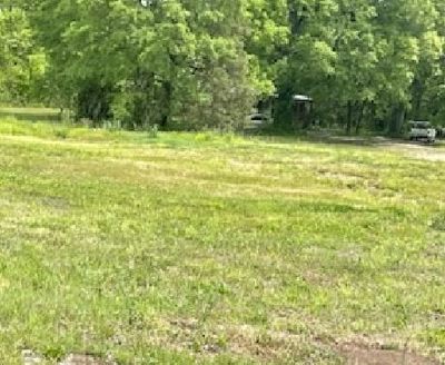 40 x 10 Unpaved Lot in Evensville, Tennessee near [object Object]