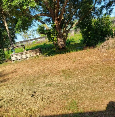 30 x 10 Unpaved Lot in Tavares, Florida near [object Object]