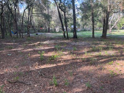50 x 10 Unpaved Lot in Spring Hill, Florida