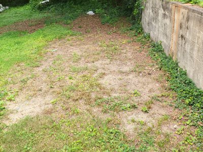 Medium 10×30 Unpaved Lot in Charlotte, North Carolina