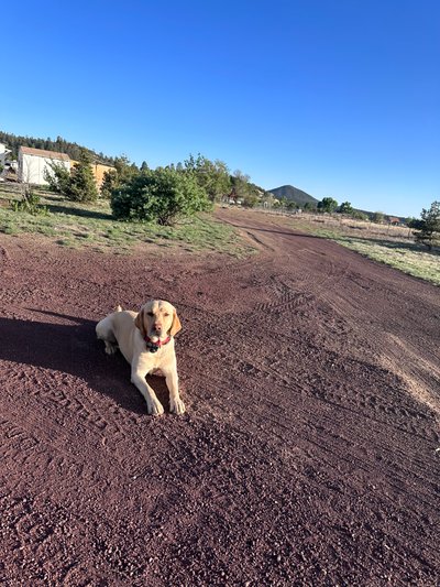 40×10 Unpaved Lot in Flagstaff, Arizona