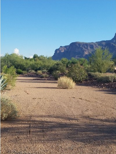 Large 15×40 Unpaved Lot in Apache Junction, Arizona