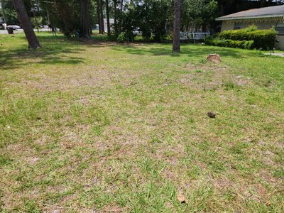 21 x 44 Unpaved Lot in Jacksonville, Florida near [object Object]