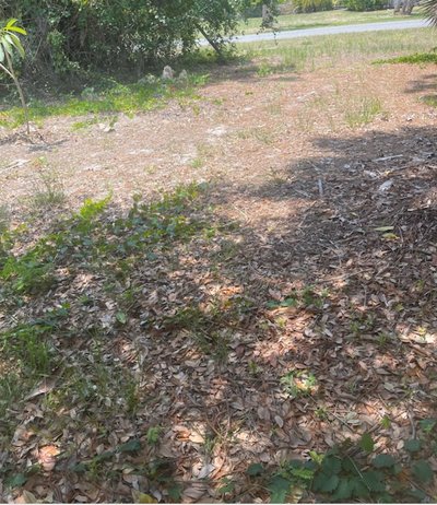 70 x 23 Unpaved Lot in Nokomis, Florida near [object Object]