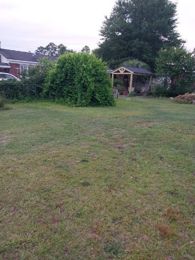 40 x 10 Unpaved Lot in Cheraw, South Carolina