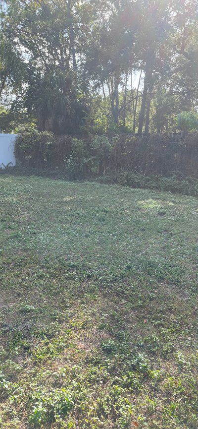 25 x 15 Unpaved Lot in Tampa, Florida near [object Object]