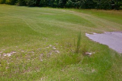 40 x 10 Unpaved Lot in Manning, South Carolina near [object Object]