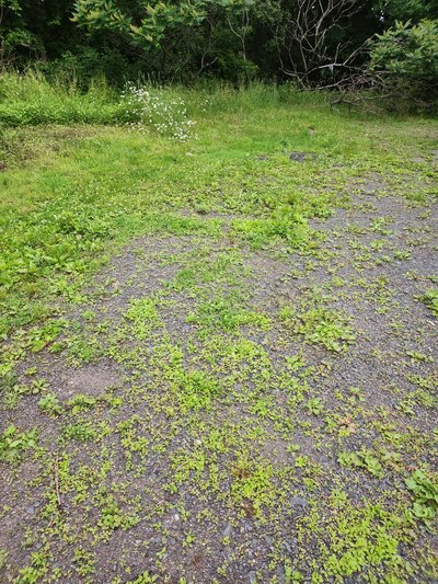 20 x 15 Unpaved Lot in Monticello, New York near [object Object]