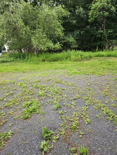 20 x 15 Unpaved Lot in Monticello, New York near [object Object]