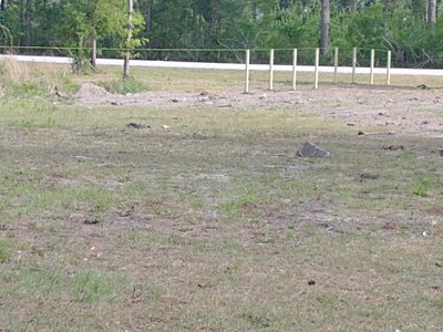 12 x 40 Unpaved Lot in Newport, North Carolina near [object Object]