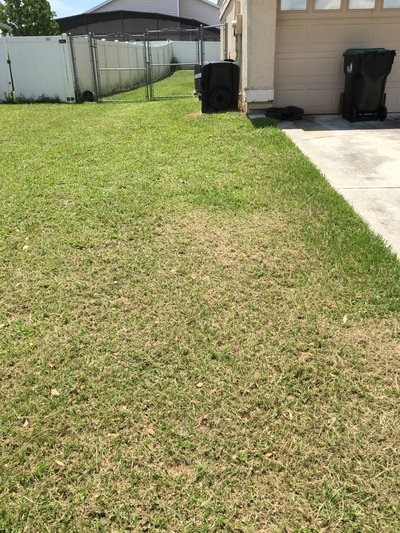 10 x 30 Unpaved Lot in Orlando, Florida near [object Object]