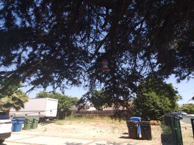 40 x 12 Unpaved Lot in Los Angeles, California near [object Object]