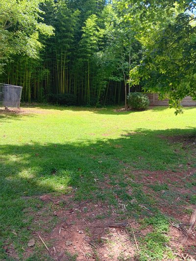 45 x 20 Unpaved Lot in Pickens, South Carolina