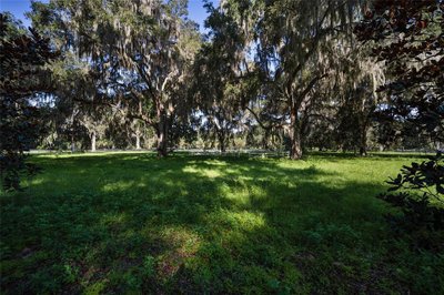 40 x 20 Unpaved Lot in Citra, Florida near [object Object]