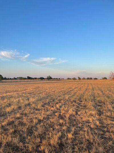 30 x 10 Unpaved Lot in Wolfforth, Texas