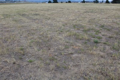30 x 10 Unpaved Lot in Molt, Montana near [object Object]