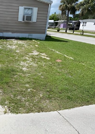 20 x 10 Unpaved Lot in Largo, Florida near [object Object]