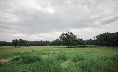 40 x 20 Unpaved Lot in Citra, Florida near [object Object]