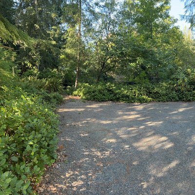 20 x 10 Driveway in Renton, Washington near [object Object]