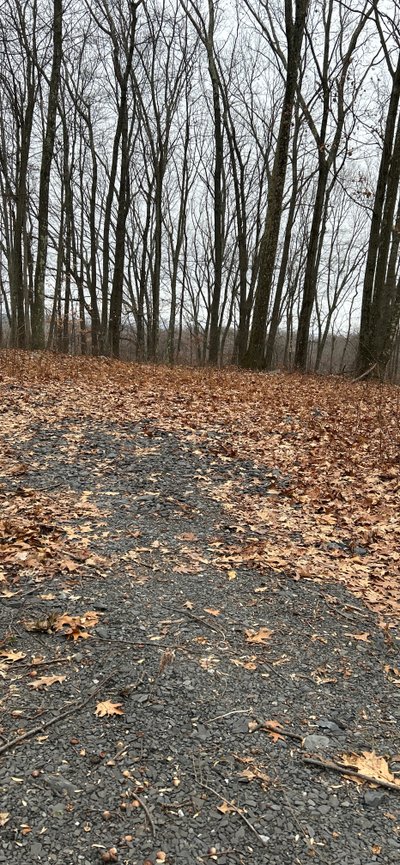 24 x 12 Unpaved Lot in Highland, New York near [object Object]