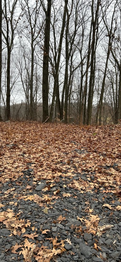 24 x 12 Unpaved Lot in Highland, New York near [object Object]