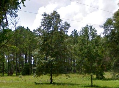 30 x 10 Unpaved Lot in Chiefland, Florida near [object Object]