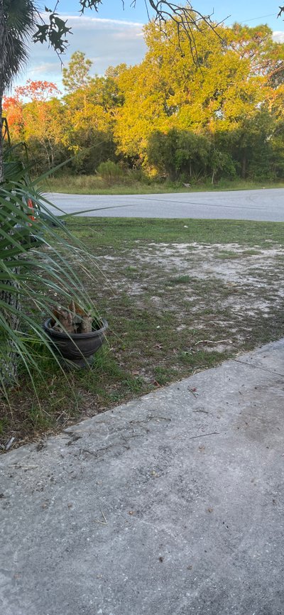 20 x 20 Unpaved Lot in Spring Hill, Florida near [object Object]