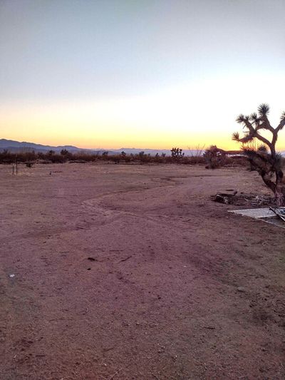 40 x 10 Unpaved Lot in Yucca, Arizona near [object Object]