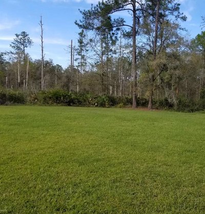 30 x 10 Unpaved Lot in Citra, Florida near [object Object]