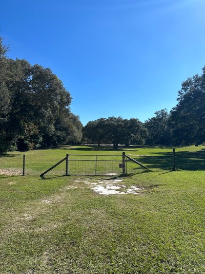 30 x 10 Unpaved Lot in Sorrento, Florida near [object Object]