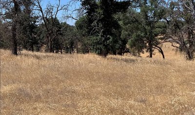 20 x 10 Unpaved Lot in Catheys Valley, California near [object Object]