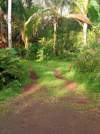 20 x 10 Unpaved Lot in Pāhoa, Hawaii near [object Object]