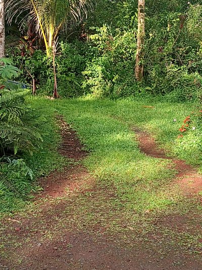 20 x 10 Unpaved Lot in Pāhoa, Hawaii near [object Object]