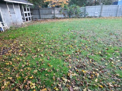 30 x 40 Unpaved Lot in Patchogue, New York near [object Object]
