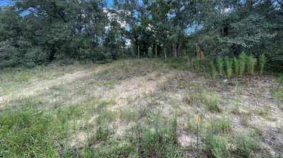 40 x 10 Unpaved Lot in Lecanto, Florida near [object Object]