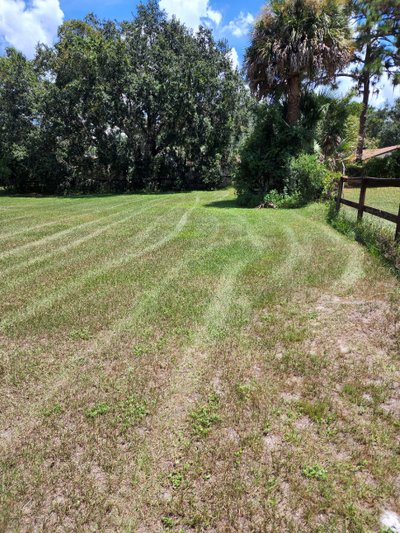 undefined x undefined Unpaved Lot in KISSIMMEE, Florida
