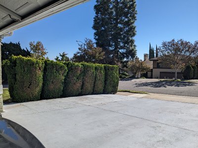 20 x 11 Driveway in Pasadena, California near [object Object]