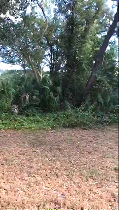 50 x 10 Unpaved Lot in Sarasota, Florida near [object Object]