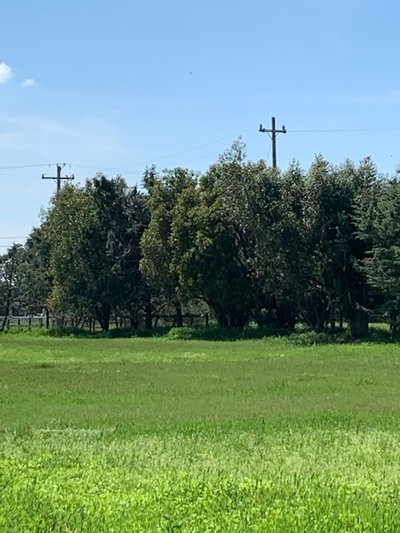 undefined x undefined Unpaved Lot in Elk Grove, California