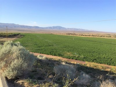 Large 15×50 Unpaved Lot in Neenach, California