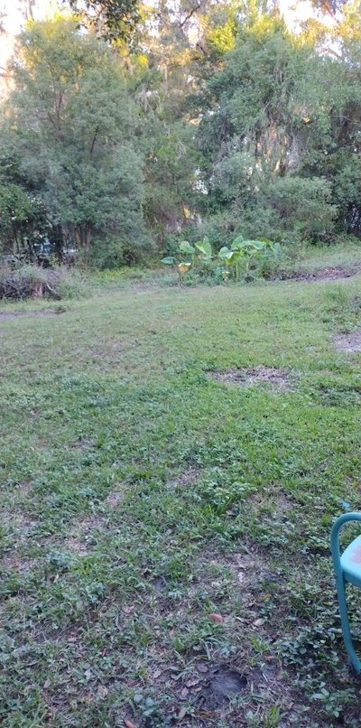 20 x 10 Unpaved Lot in Brooksville, Florida near [object Object]