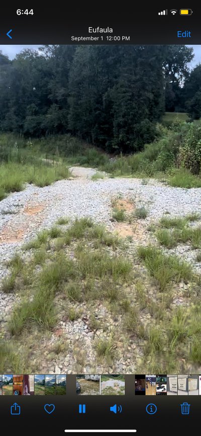 70 x 10 Unpaved Lot in Eufaula, Alabama near [object Object]
