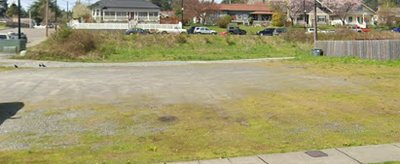 50 x 15 Unpaved Lot in Eatonville, Washington near [object Object]