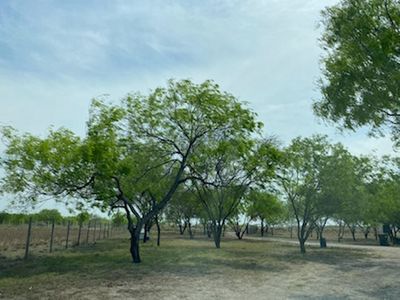 20 x 10 Unpaved Lot in Mission, Texas near [object Object]