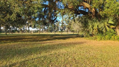 20 x 10 Unpaved Lot in Anthony, Florida near [object Object]