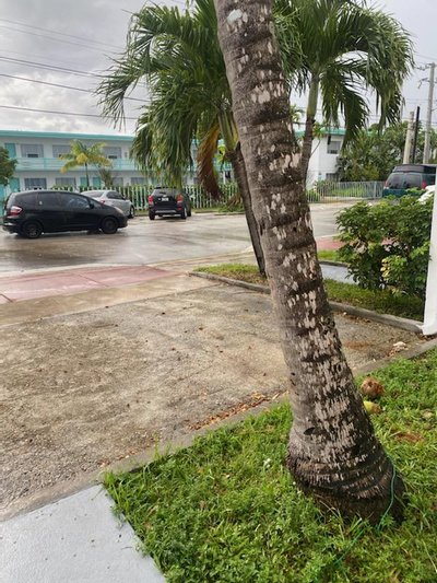 20 x 10 Driveway in Miami Beach, Florida near [object Object]