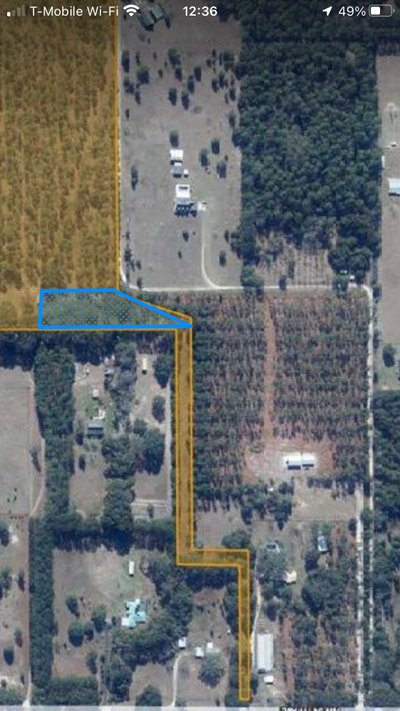 20 x 10 Unpaved Lot in Alachua, Florida near [object Object]