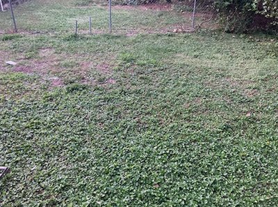 30 x 10 Unpaved Lot in Winter Haven, Florida near [object Object]